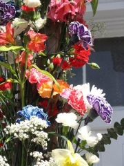 marjories-img_16551600x450