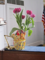 02-tulips-img_2551